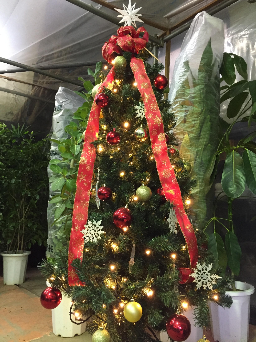 Xmasツリー